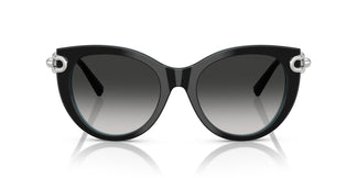 Tiffany TF4232 80553C 53