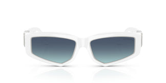 Tiffany TF4234U 83929S 55