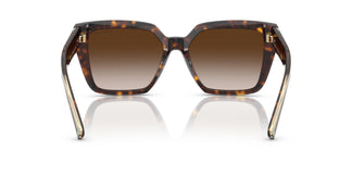 Tiffany TF4235 80153B 55