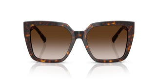 Tiffany TF4235 80153B 55