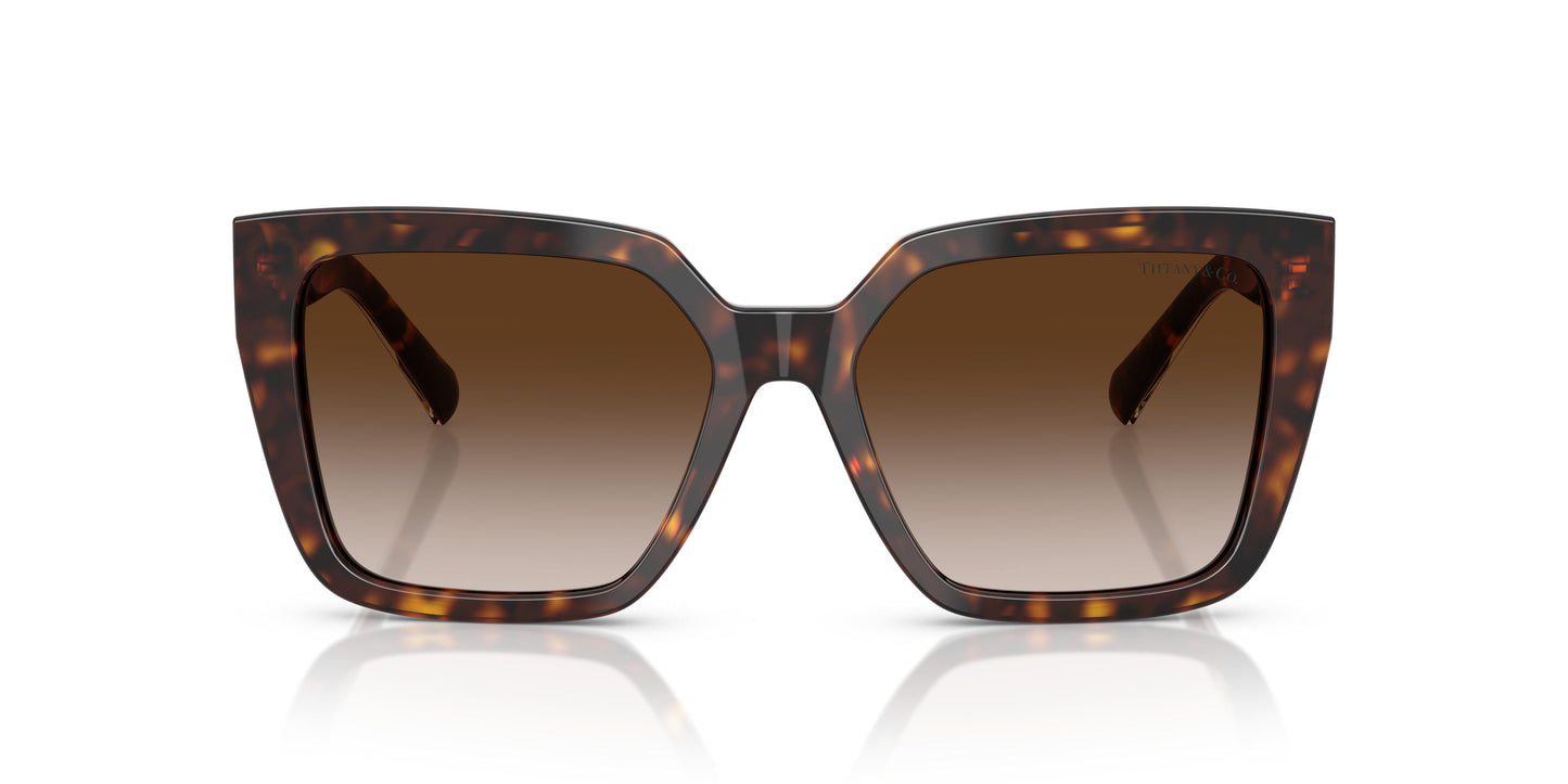 Tiffany TF4235 80153B 55