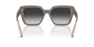 Tiffany TF4235 84013C 55