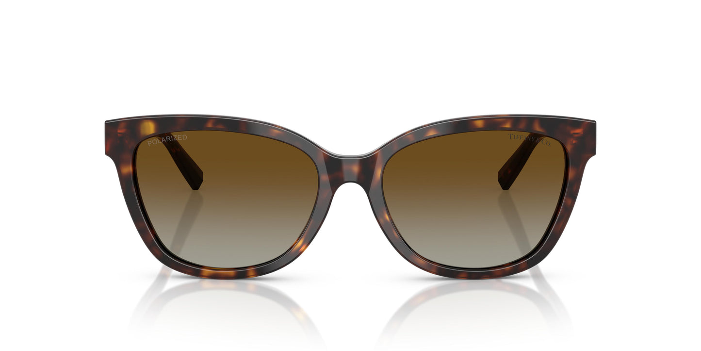 Tiffany TF4237B 8015T5 55