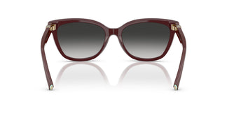 Tiffany TF4237B 83893C 55