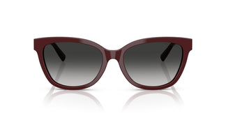 Tiffany TF4237B 83893C 55