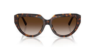 Tiffany TF4238U 80153B 55