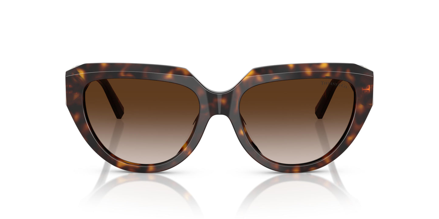 Tiffany TF4238U 80153B 55