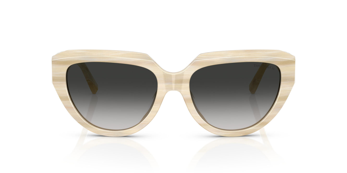 Tiffany TF4238U 84313C 55