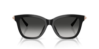 Tiffany TF4241D 80013C 54