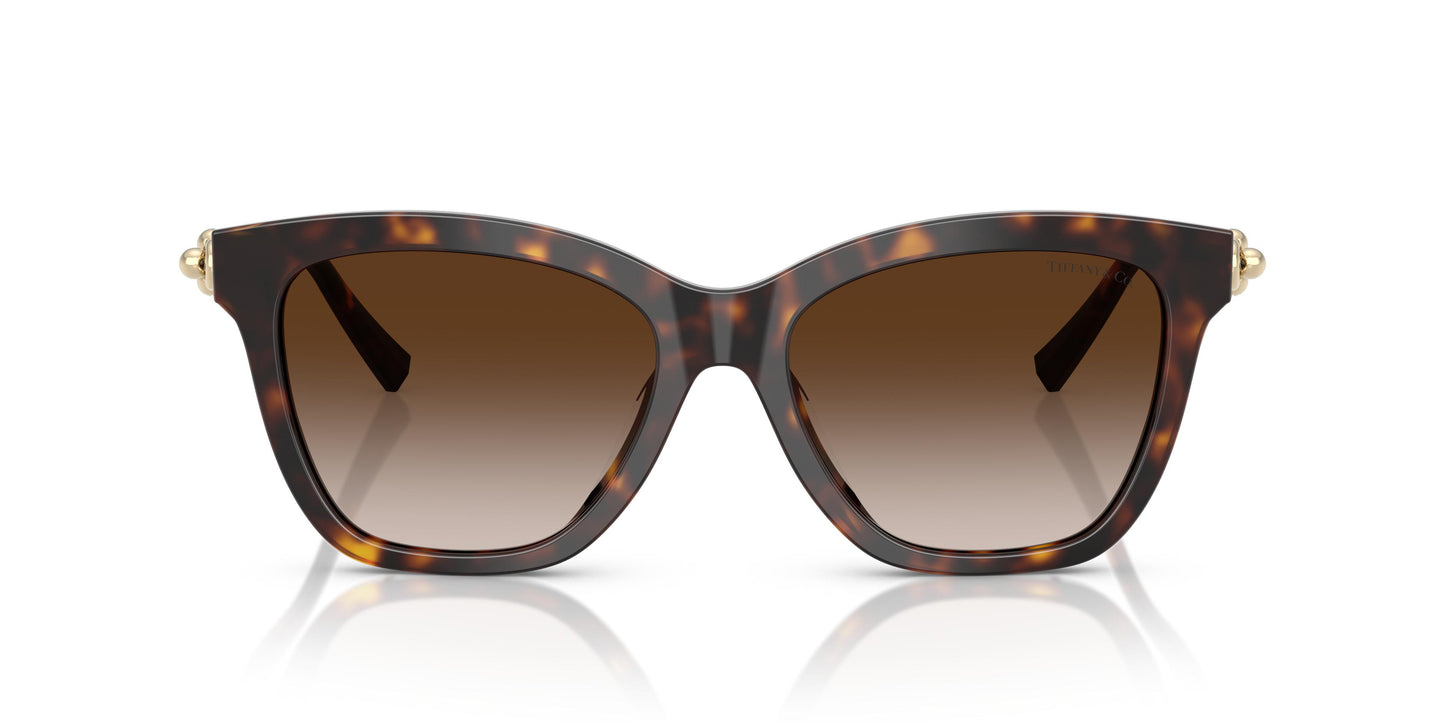 Tiffany TF4241D 80153B 54