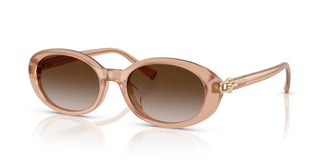 Tiffany TF4242D 82683B 54