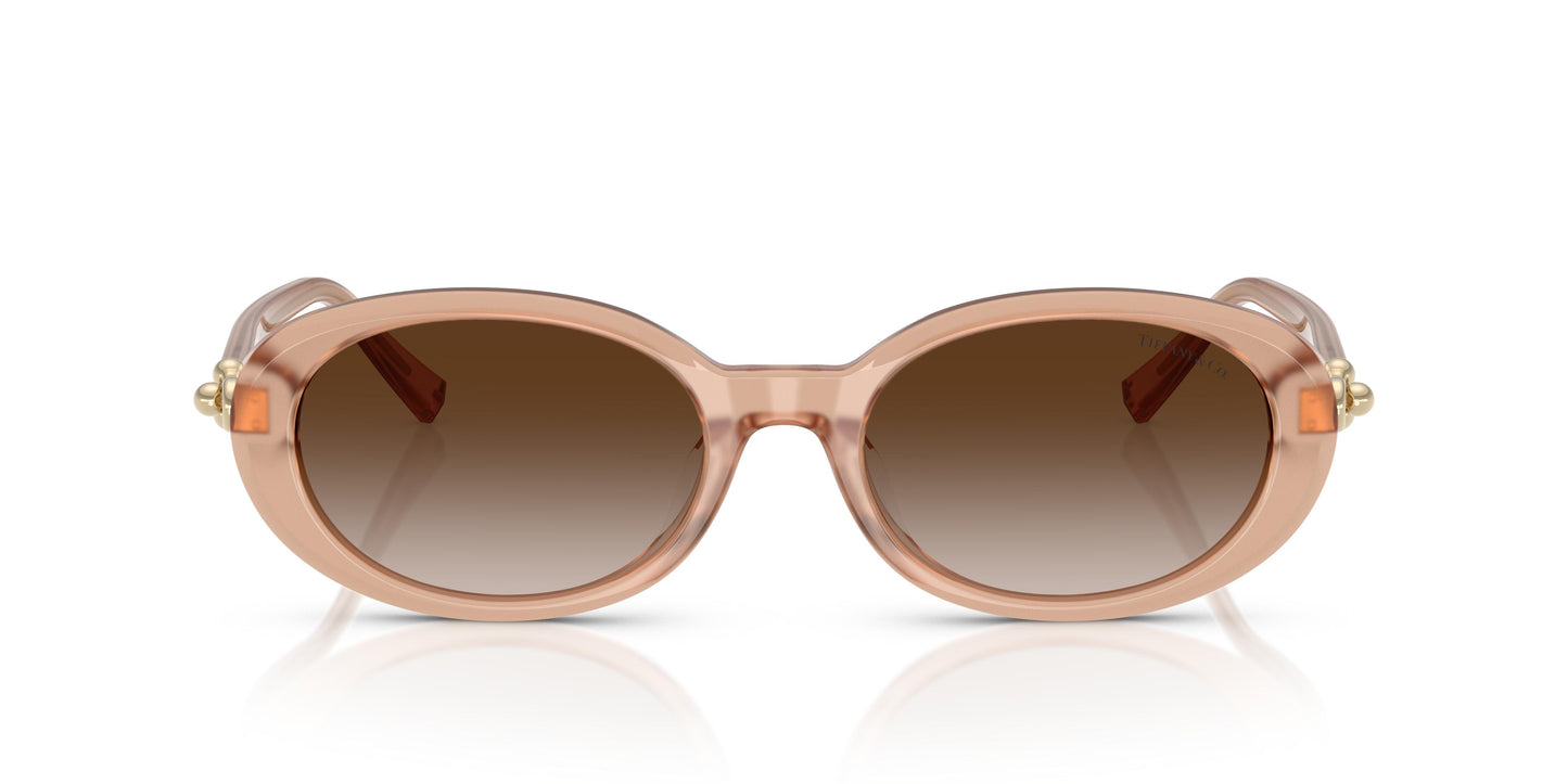 Tiffany TF4242D 82683B 54