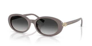 Tiffany TF4242D 84013C 54