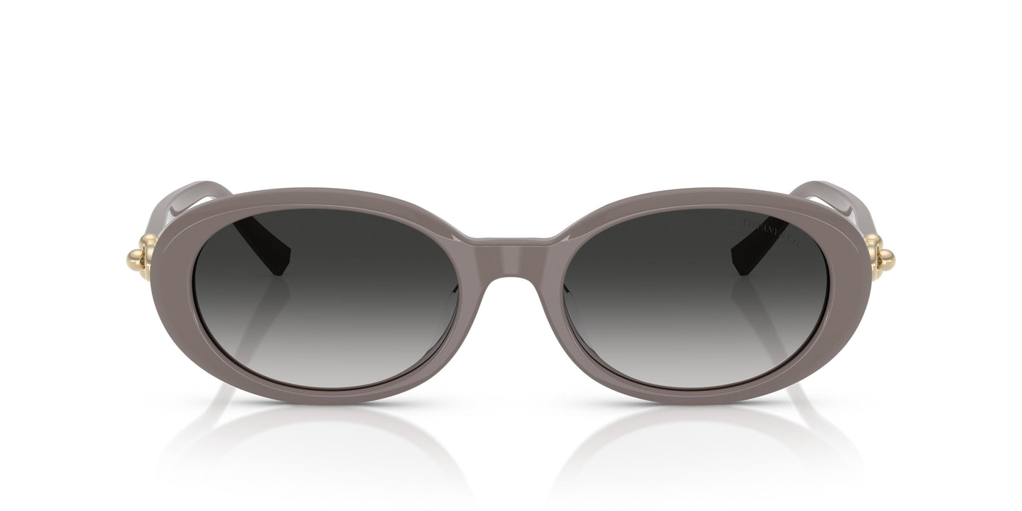 Tiffany TF4242D 84013C 54