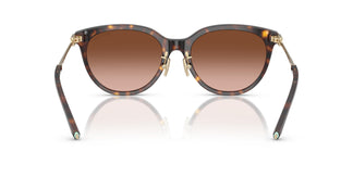 Tiffany TF4243D 80153B 55