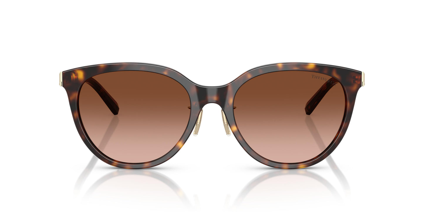 Tiffany TF4243D 80153B 55