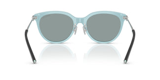 Tiffany TF4243D 8055/1 55