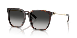 Tiffany TF4244D 80153C 56
