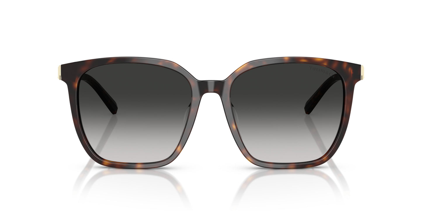 Tiffany TF4244D 80153C 56