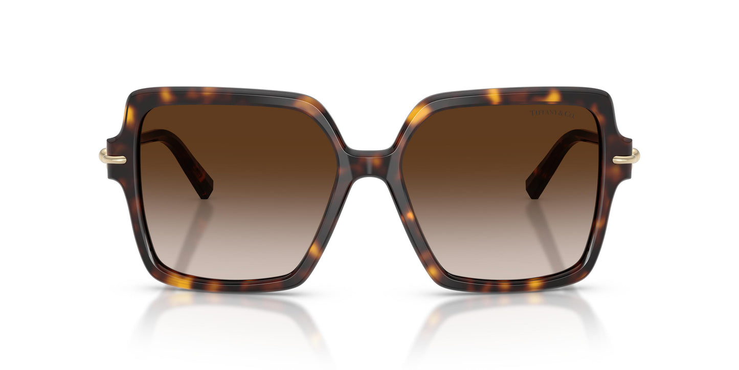 Tiffany TF4260U 80153B 57