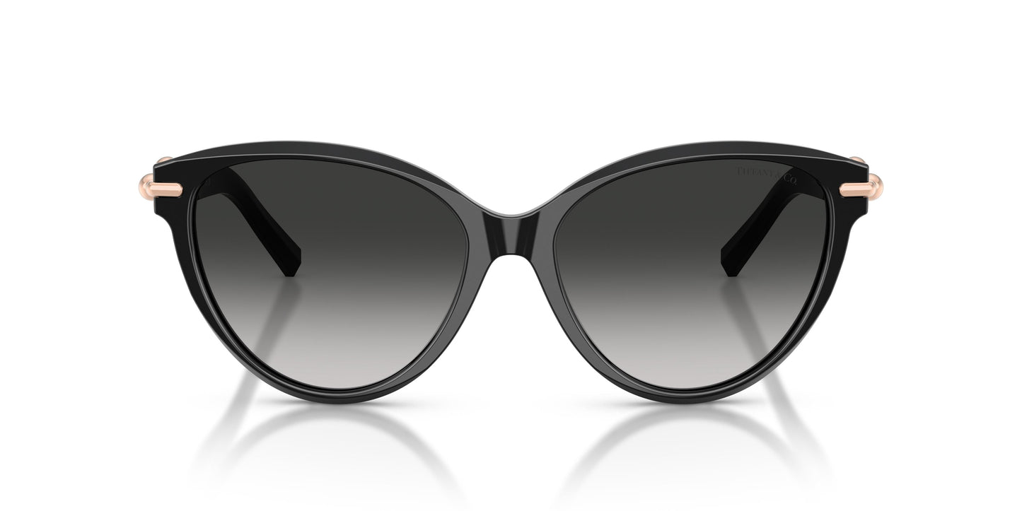 Tiffany TF4261 80013C 56
