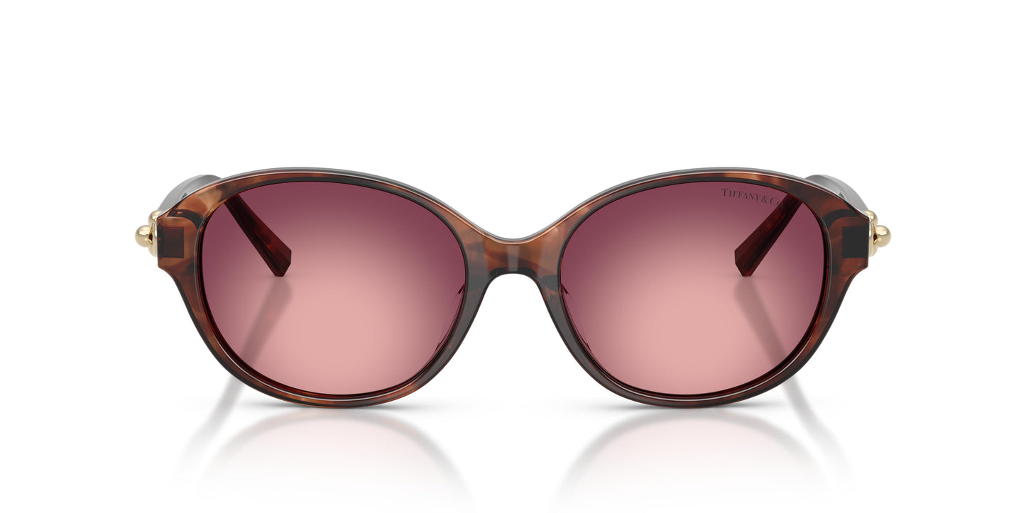 Tiffany TF4263D 84218H 54