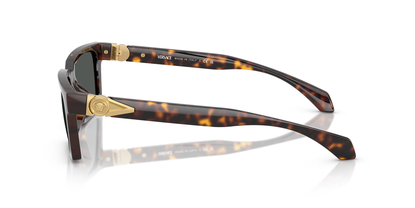 Versace VE4490U 108/87 55