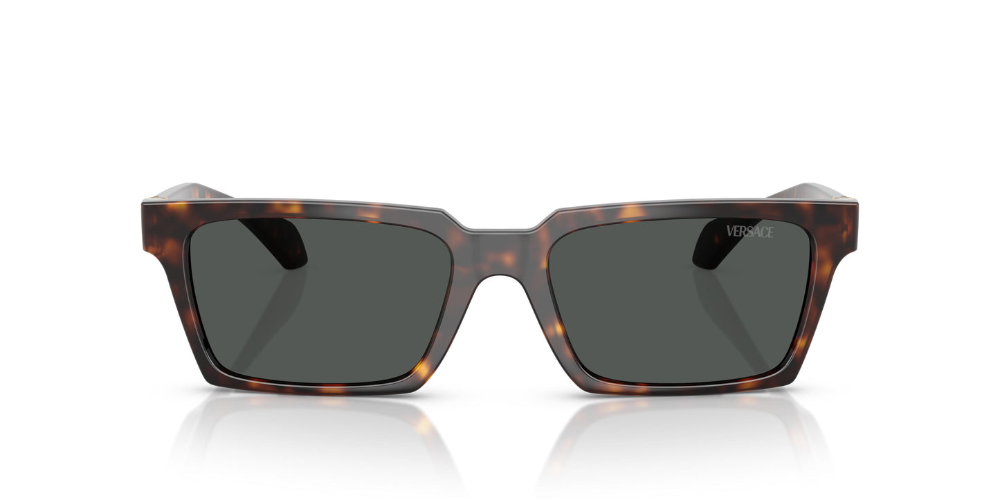 Versace VE4490U 108/87 55