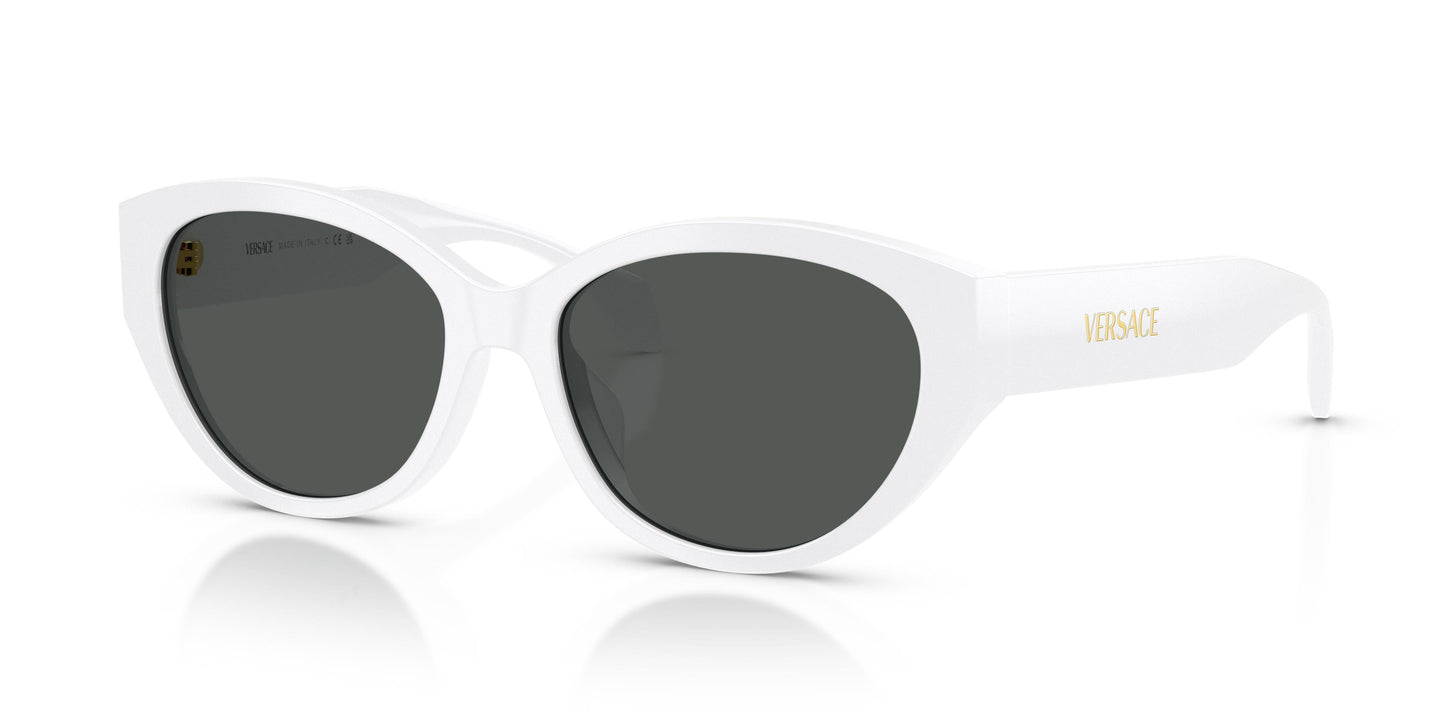 Versace VE4495D 314/87 56