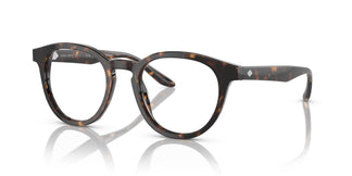 Giorgio Armani AR7227 5879 50