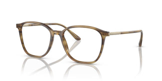 Giorgio Armani AR7236 6002 53