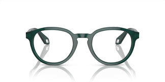 Giorgio Armani AR7248 6044 48