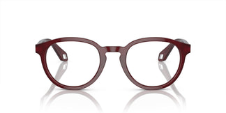 Giorgio Armani AR7248 6045 48