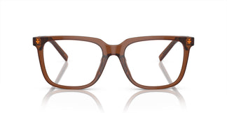 Giorgio Armani AR7252U 6049 53