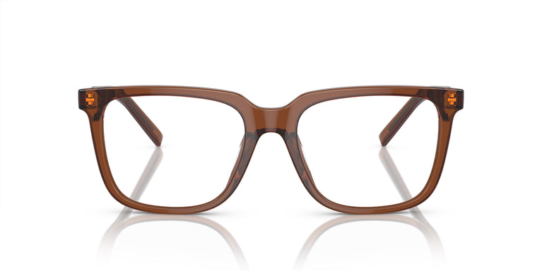 Giorgio Armani AR7252U 6049 53