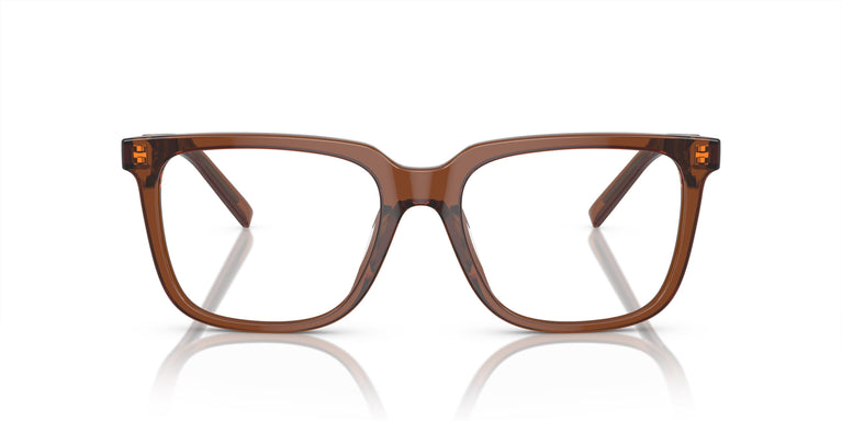 Giorgio Armani AR7252U 6049 55