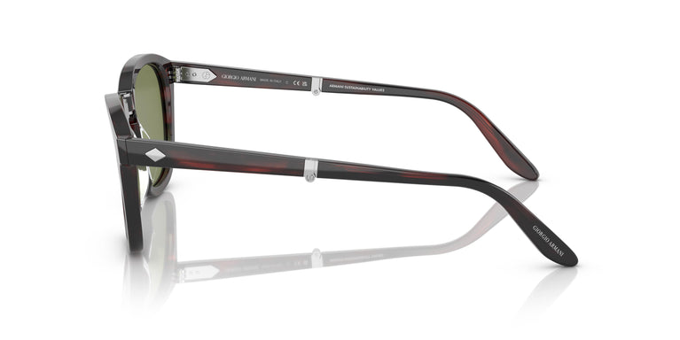 Giorgio Armani AR8170 59634E 51