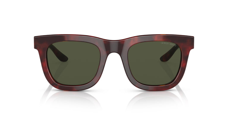 Giorgio Armani AR8171 596231 49