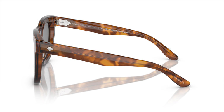 Giorgio Armani AR8171 598802 49