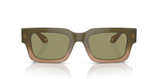 Giorgio Armani AR8184U 598214 52