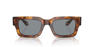 Giorgio Armani AR8184U 598802 52