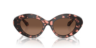 Giorgio Armani AR8188 59920A 50