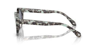Giorgio Armani AR8191U 601819 45