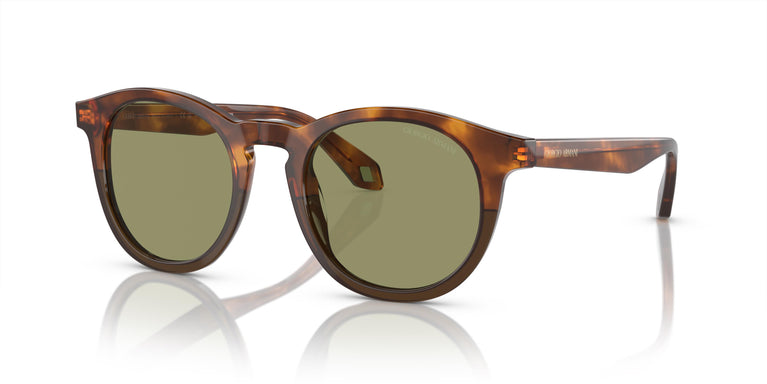 Giorgio Armani AR8192 598814 50