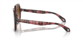Giorgio Armani AR8193U 60320A 55