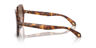 Giorgio Armani AR8193U 603351 55