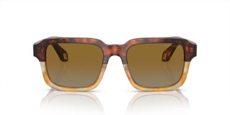 Giorgio Armani AR8194U 6034B2 53