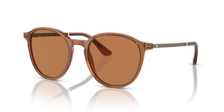 Giorgio Armani AR8196 604673 51