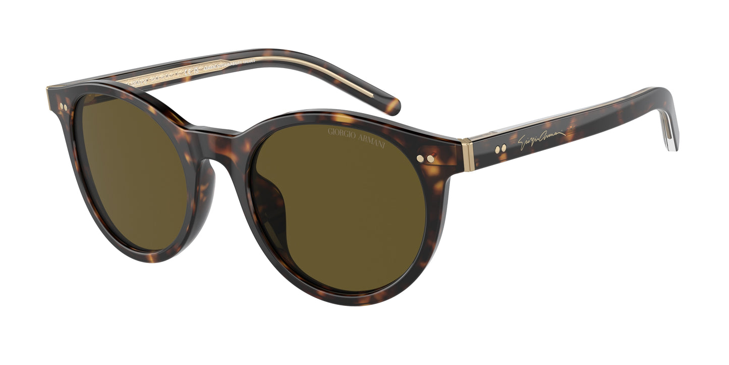 Giorgio Armani AR8199U 587973 50