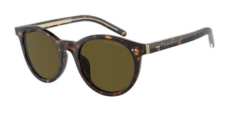Giorgio Armani AR8199U 587973 50